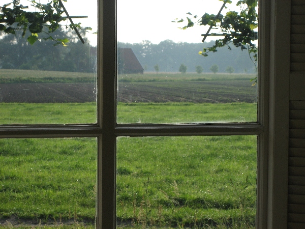 Image 41 of 50  -  262 kB